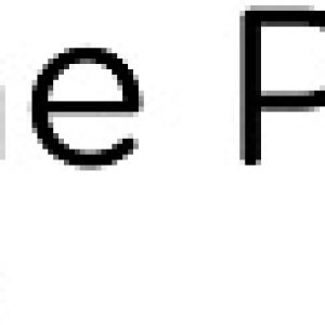 The Place Logo