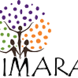 Image of two people holding up a third, with their arms outstretched like a tree. Green, purple and orange leaves.
