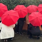 A group of people, facing away from the camera, with their red umbrellas up.